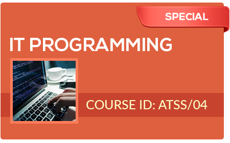 Programming Language